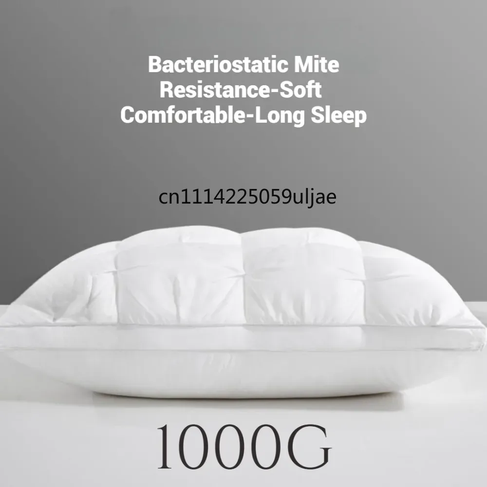 Oreillers Confortables pour Do - Pillow Insert 18X18 avis et prix